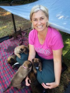 Cute Belgian Malinois puppies and their breeder